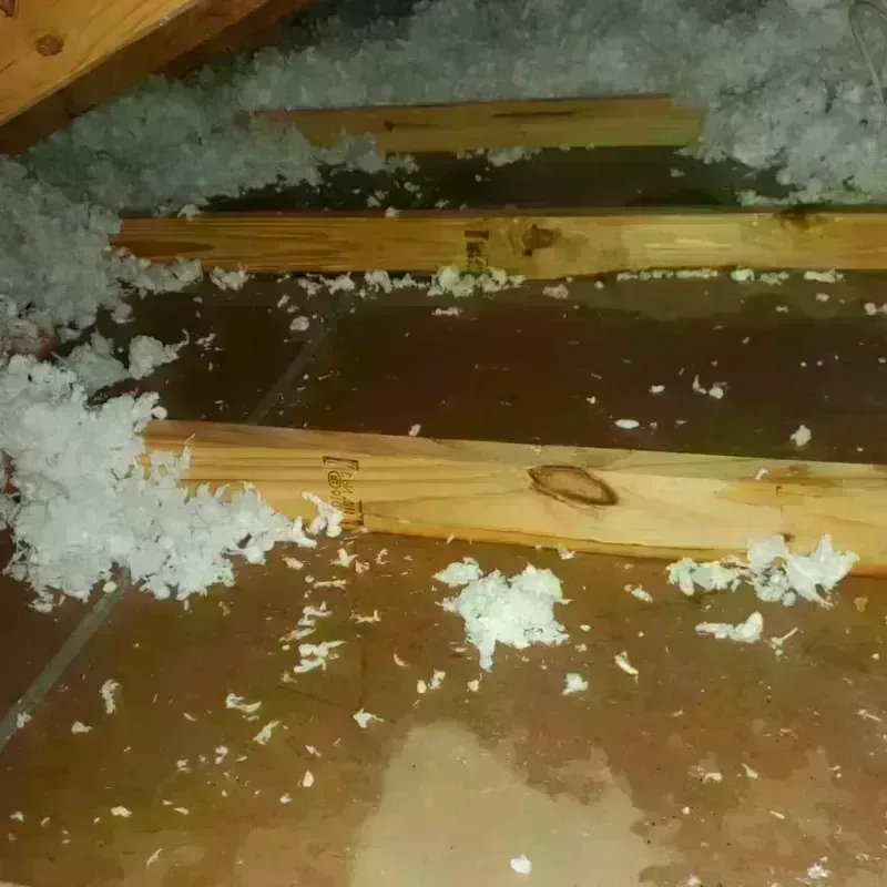 Attic Water Damage in Peru, IN