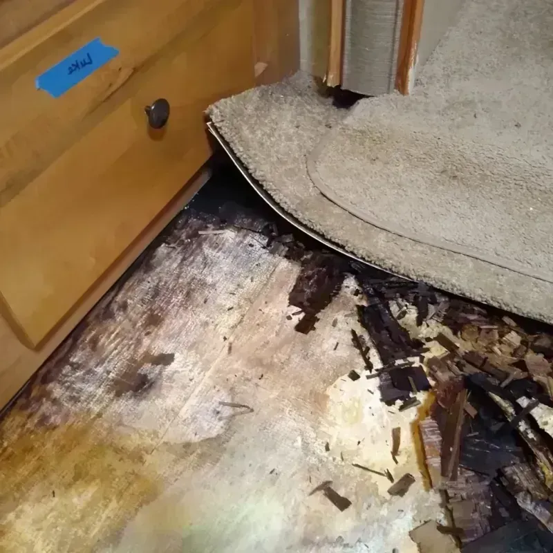 Wood Floor Water Damage in Peru, IN